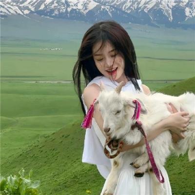 名侦探柯南 灰原哀物语～黑铁的神秘列车～